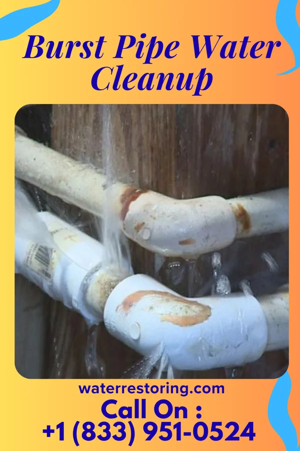 Burst Pipe Water Cleanup in Arnold, PA