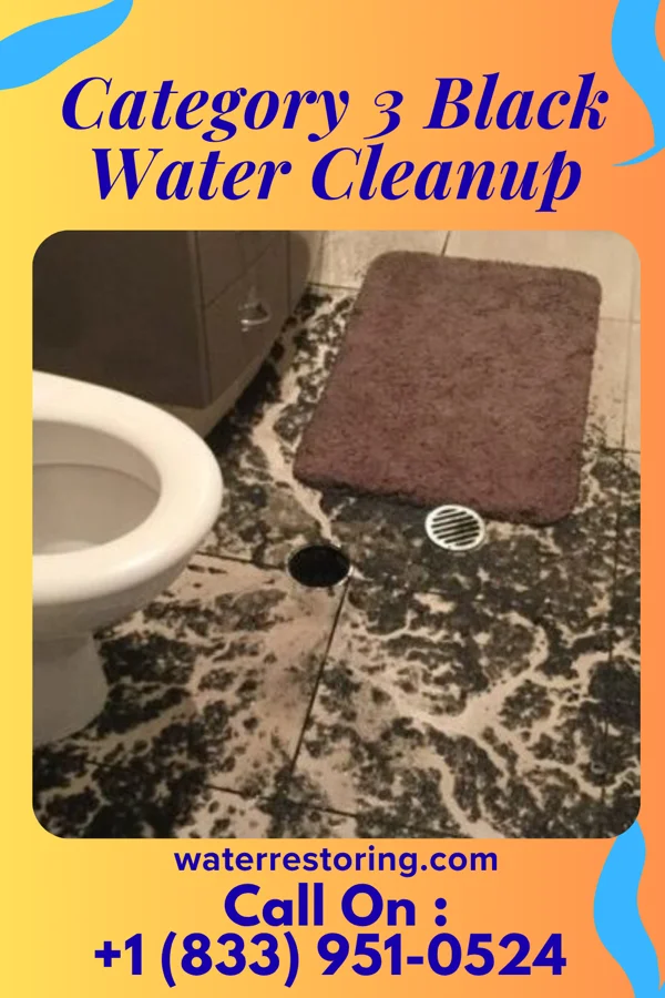 Category 3 Black Water Cleanup in Arnold, PA