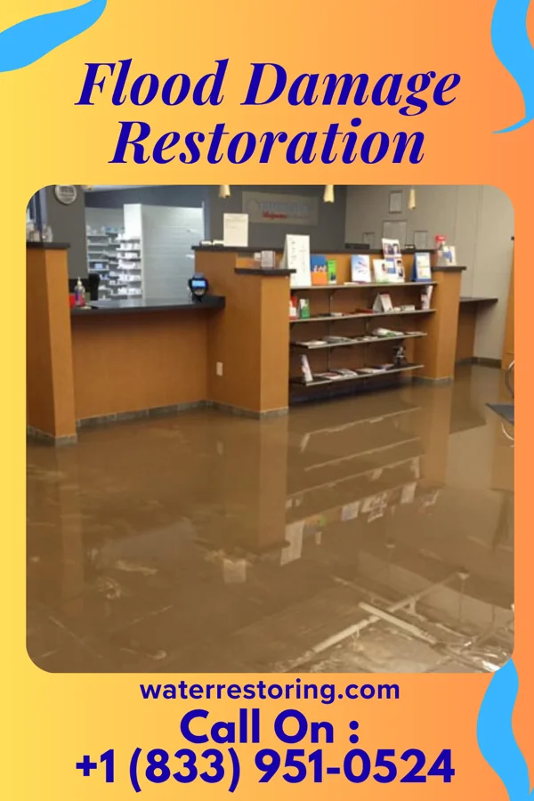 Flood Damage Restoration in Arnold, PA
