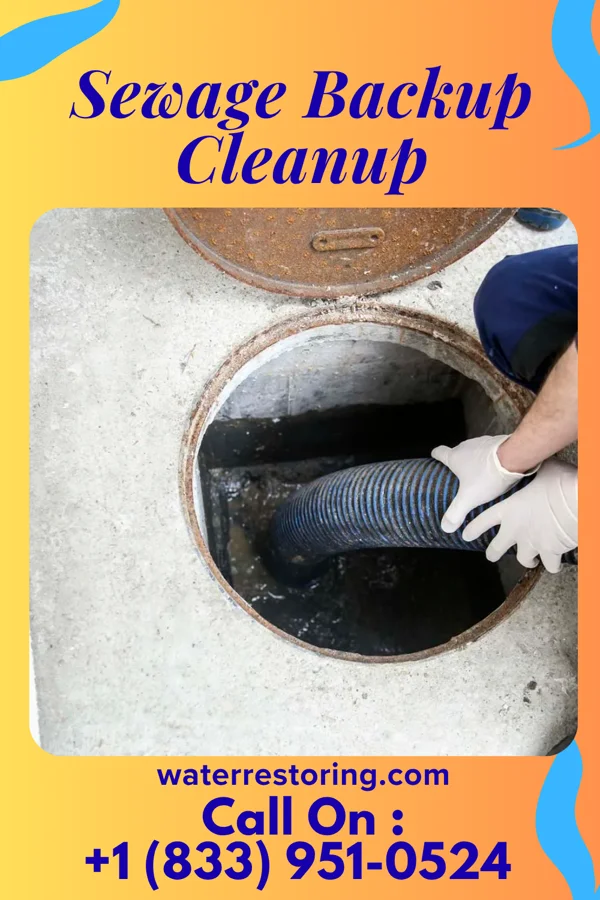Sewage Backup Cleanup in Arnold, PA