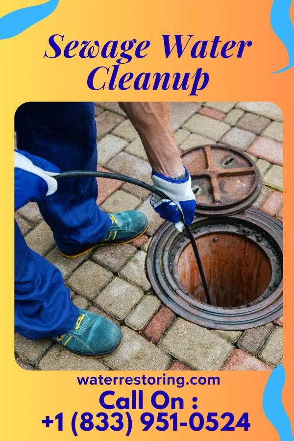 Sewage Water Cleanup in Arnold, PA