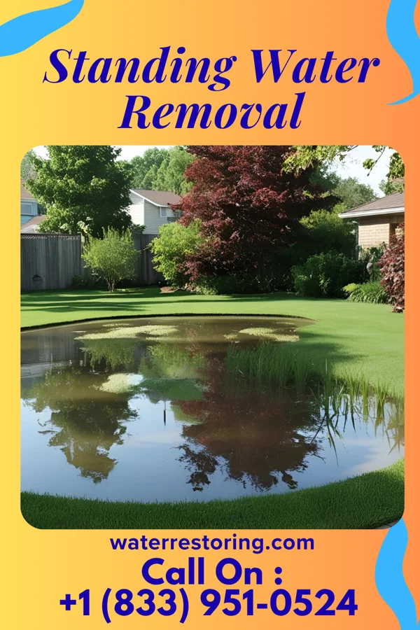 Standing Water Removal in Arnold, PA